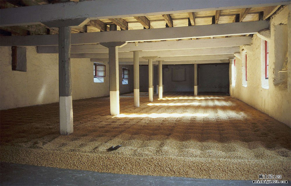 大麦散布在Glendronach的麦芽地板上