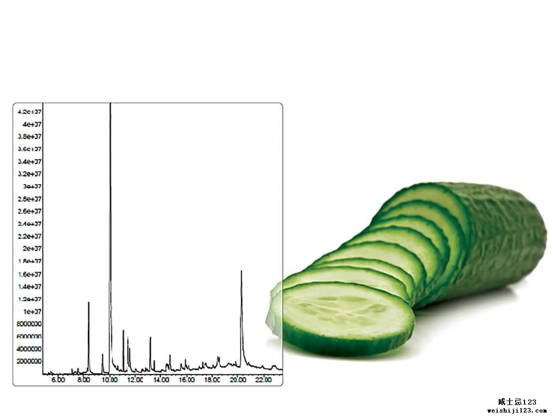 黄瓜中风味剂的色谱图
