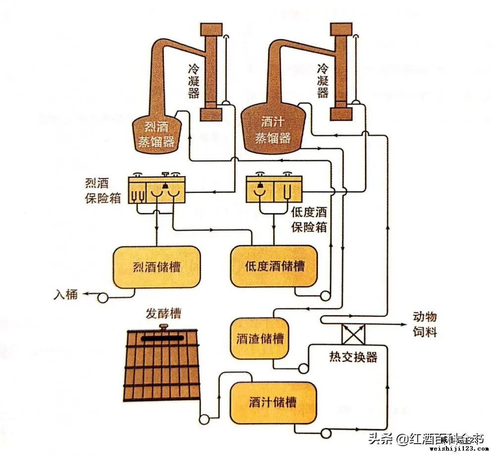 「硬核干货」懂蒸馏，才称得上懂威士忌