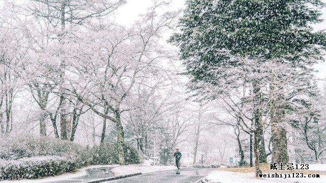在冬季，轻井泽的雪景可能比北海道更火