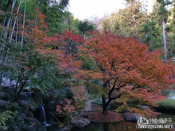 喝不起82的拉菲，来喝一下山崎25吧~山崎蒸馏所探访