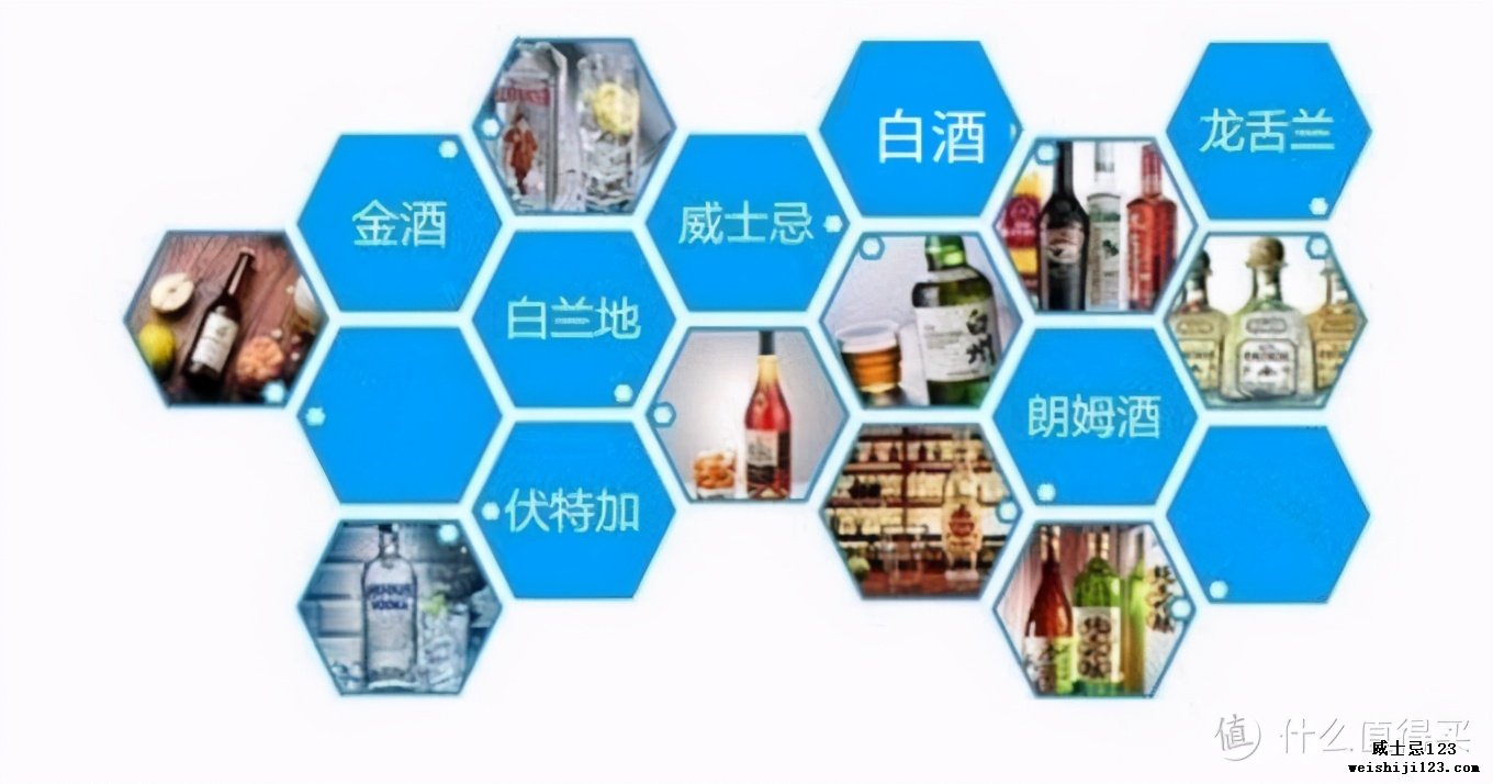 世界七大蒸馏酒你知道几个？说全了算我输！一起涨知识吧