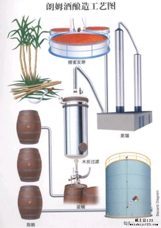 世界七大蒸馏酒你知道几个？说全了算我输！一起涨知识吧