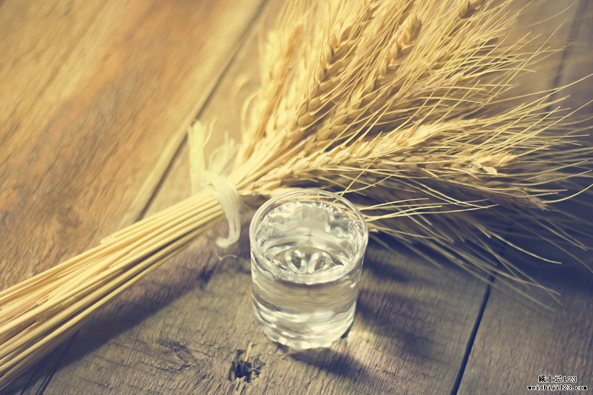 蒸馏伏特加酒：伏特加酒和小麦