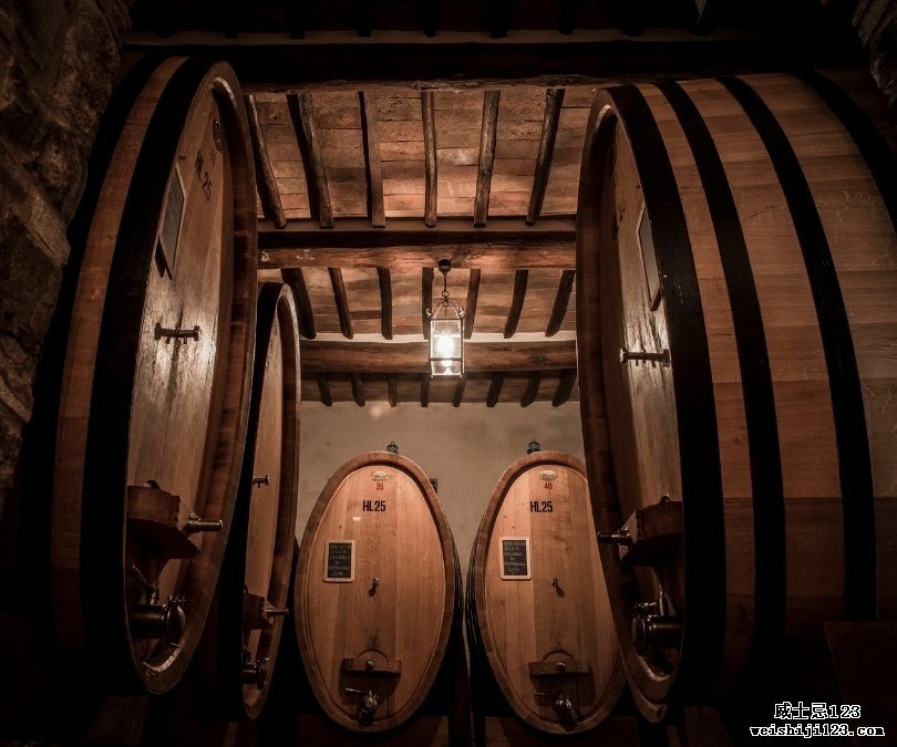 tenute-piccini-2015-cellar.jpg