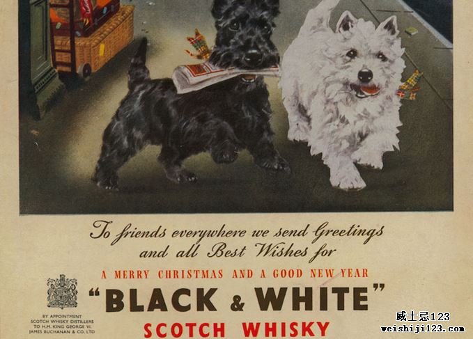 黑白威士忌广告