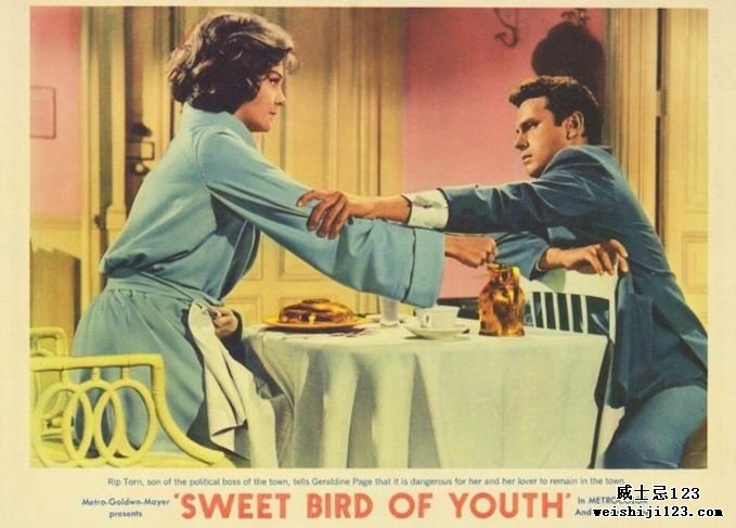 青春甜蜜的鸟电影海报