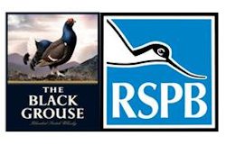 黑松鸡和RSPB