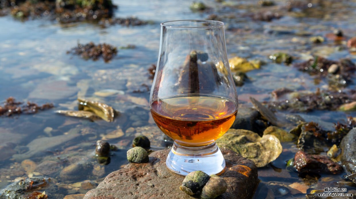 低潮时品尝苏格兰威士忌和海岸背景，烟熏威士忌与牡蛎搭配