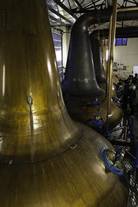 苏格兰 Craigellachie 酿酒厂的蒸馏器。 照片 © 2014 马克·吉莱斯皮 (Mark Gillespie)。