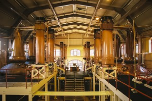 苏格兰 Rothes 的 Glenrothes 酿酒厂的蒸馏室。 照片 © 2010 马克·吉莱斯皮 (Mark Gillespie)。