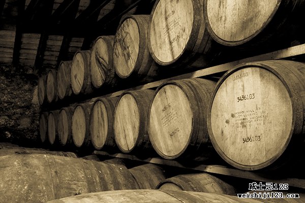桶装苏格兰威士忌在苏格兰泰恩的 Glenmorangie 酿酒厂成熟。 照片 © 2012 马克·吉莱斯皮。