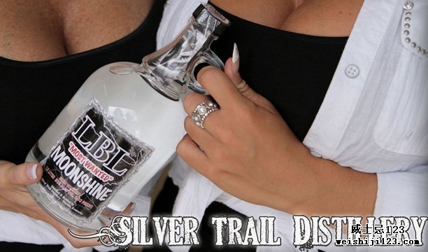 Silver Trail酿酒厂肯塔基波本小道工艺之旅