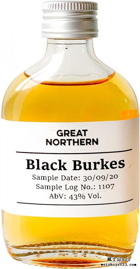 The Great Northern Black Burkes